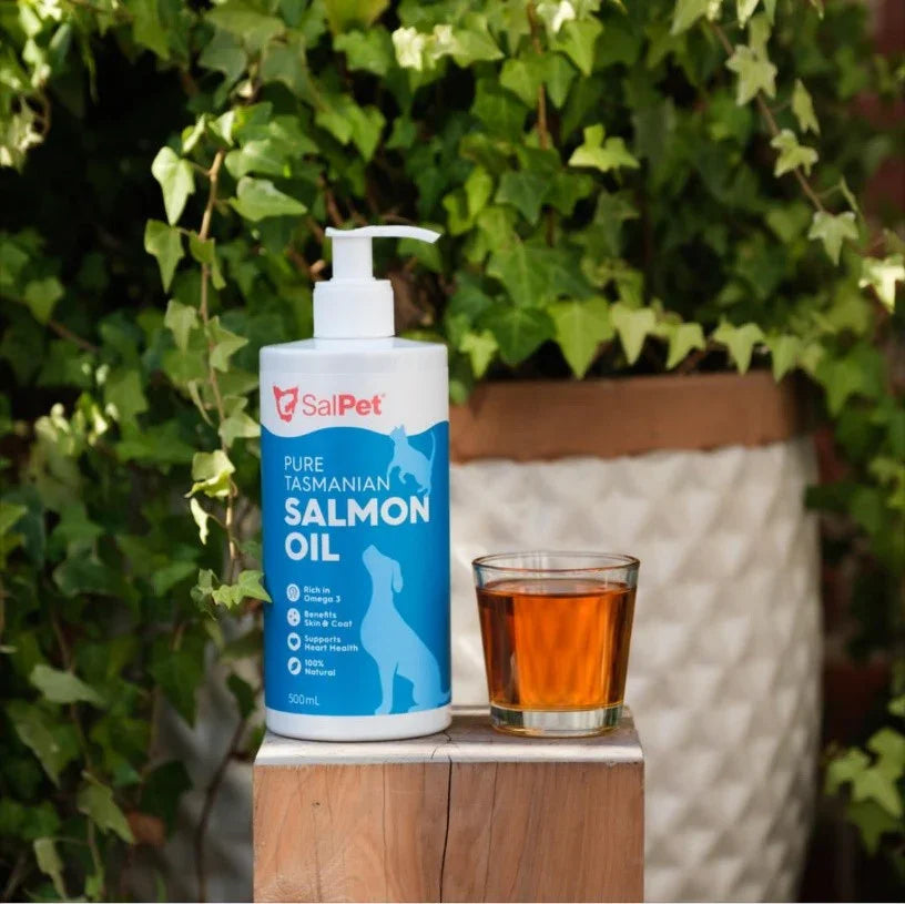 SalPet Pure Tasmanian Salmon Oil for dogs, 500mL bottle with pump, shown beside glass of oil on wooden block outdoors